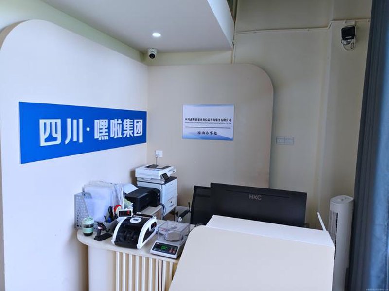 科琳科技：领航未来科技创新风向标